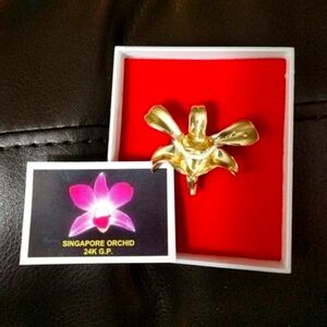 24 Gold Plated Pendant/Pin